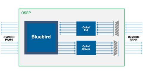 Credo Bluebird Block Diagram