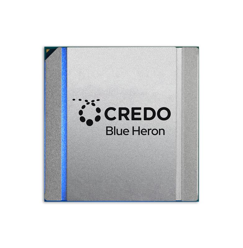 Blue Heron_AI Scale Up