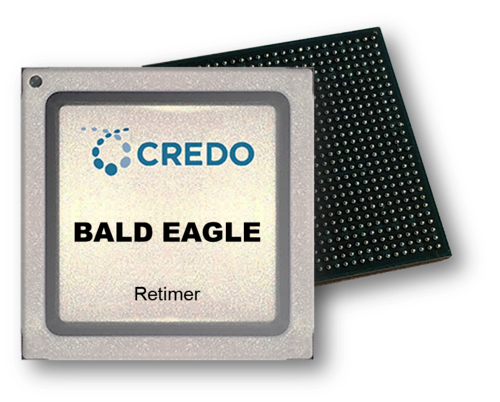 Credo Bald Eagle