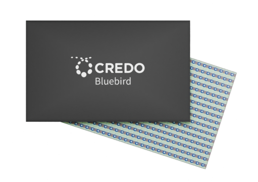 Credo-Bluebird