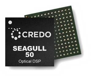 Credo Optical DSP_seagull_50