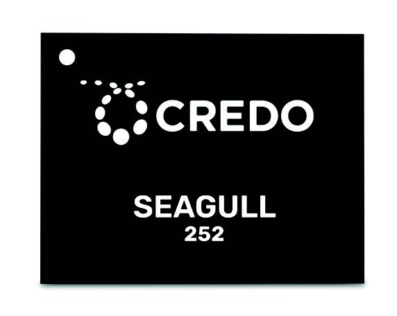 Credo optical DSP -Seagull-252-Chip-Image