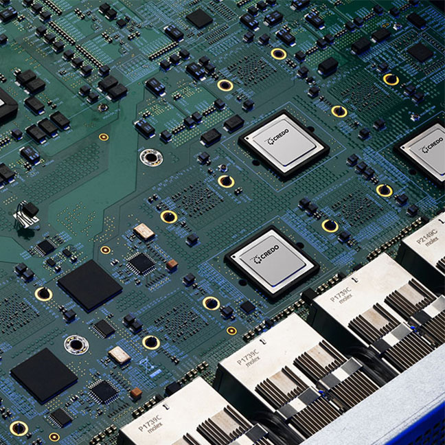 line-card chips